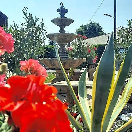Airport Budapest Sarokhaz Panzio Bed and breakfast 3*