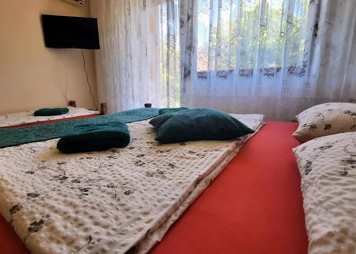 Airport Budapest Sarokhaz Panzio 3* 韦切什
