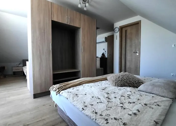Airport Budapest Sarokhaz Panzio B&B 3*
