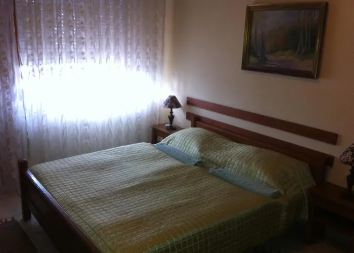 Airport Budapest Sarokhaz Panzio B&B 3*